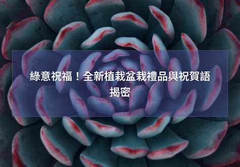 送盆栽意義|綠意祝福！全新植栽盆栽禮品與祝賀語揭密 